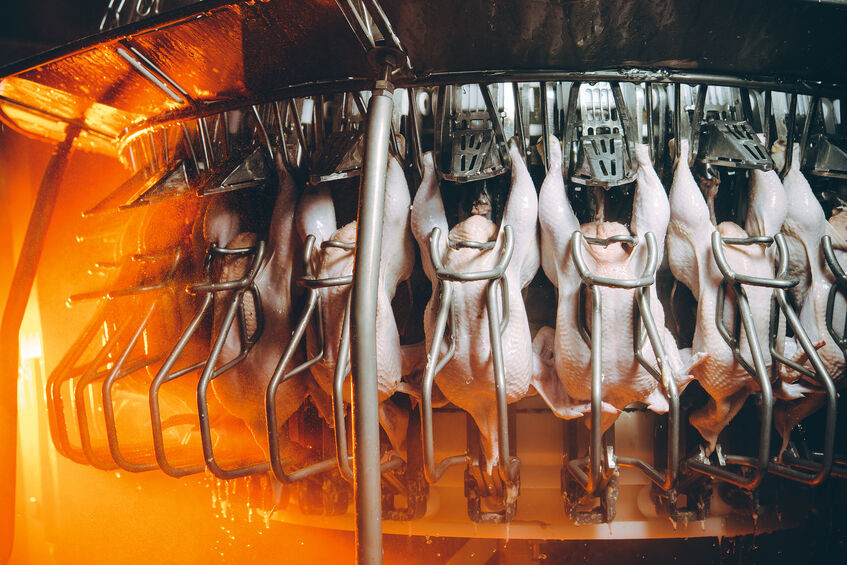 Attention aux aliments transformés les aliments transformés mauvais pour la santé, mauvais pour l'environnement