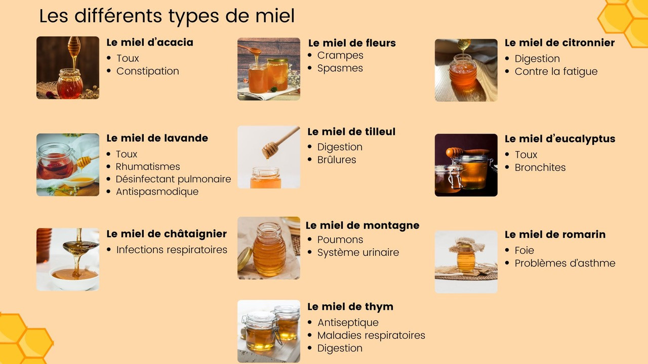 Découvrez ls grandes variétés du miel Les différents types de miel