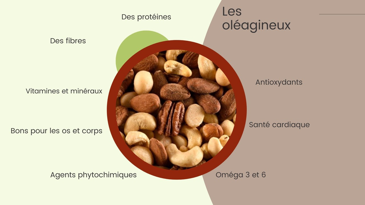 Pourquoi intégrer les oléagineux ? Les Oléagineux