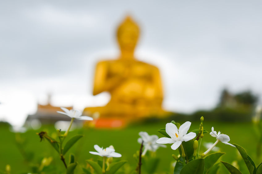 Qu'est-ce que c'est samādhi ? Qu'est-ce que c'est samādhi ?